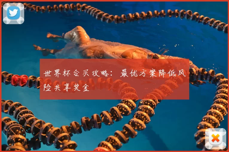 世界杯合买攻略:最优方案降低风险共享奖金