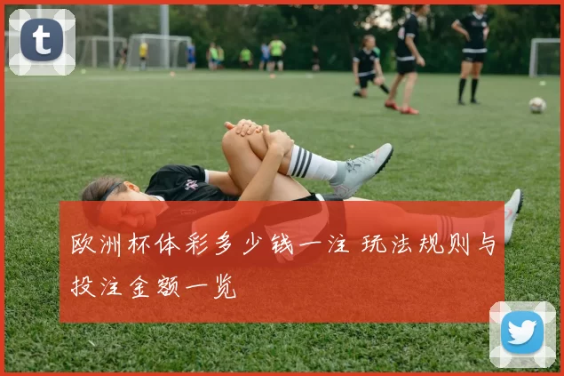 欧洲杯体彩多少钱一注 玩法规则与投注金额一览