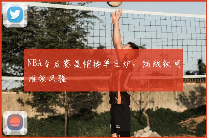 NBA季后赛盖帽榜单出炉,防线铁闸谁领风骚