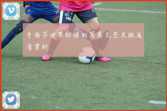李丽莎世界杯福利写真无圣光版高清赏析