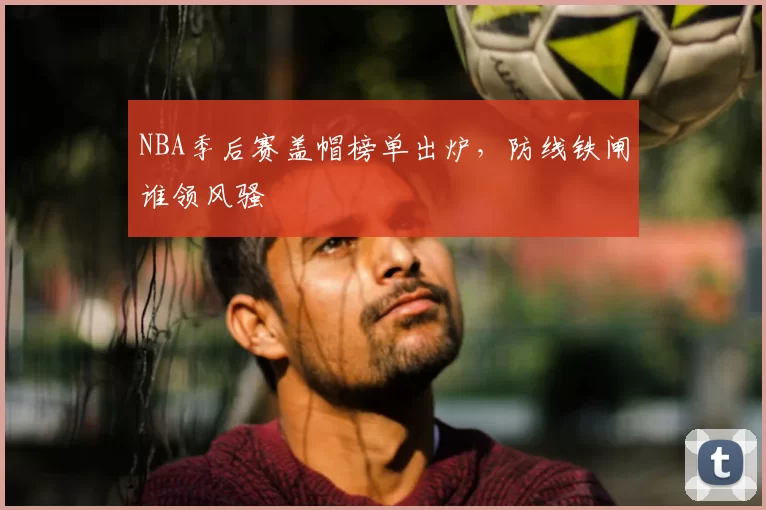 NBA季后赛盖帽榜单出炉,防线铁闸谁领风骚