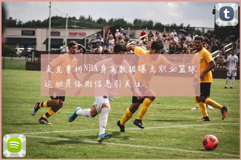 麦克鲁姆NBA身高数据曝光职业篮球运动员体测信息引关注