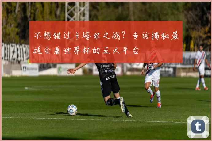 不想错过卡塔尔之战?专访揭秘最适合看世界杯的五大平台