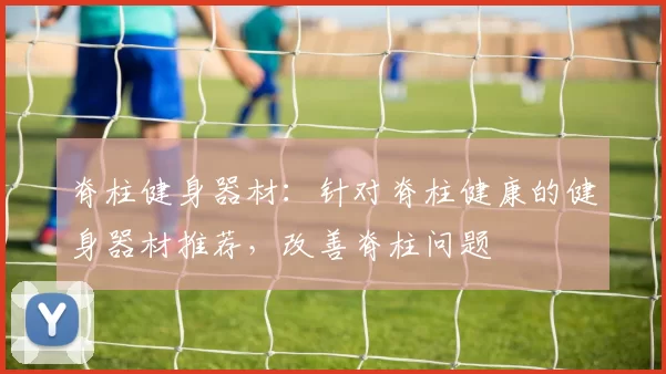 脊柱健身器材：针对脊柱健康的健身器材推荐，改善脊柱问题