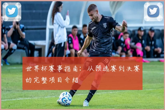 世界杯赛事指南:从预选赛到决赛的完整项目介绍