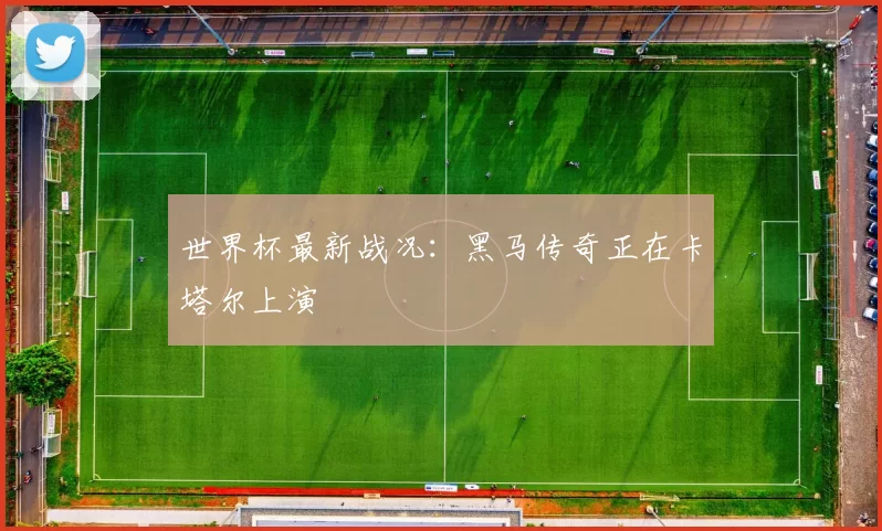 世界杯最新战况:黑马传奇正在卡塔尔上演