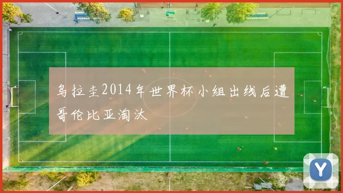 乌拉圭2014年世界杯小组出线后遭哥伦比亚淘汰